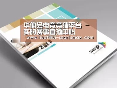 项目名称九