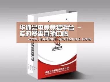 项目名称十三