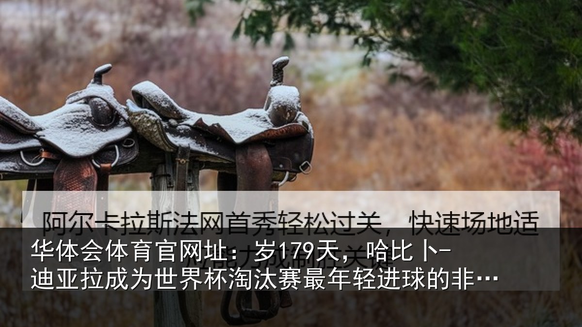 华体会体育官网址：岁天相关情况世界杯淘汰赛最年相关情况