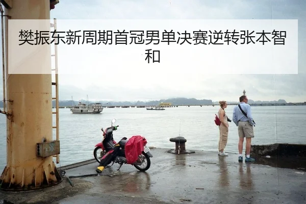 樊振东新周期首冠男单决赛逆转张本智和