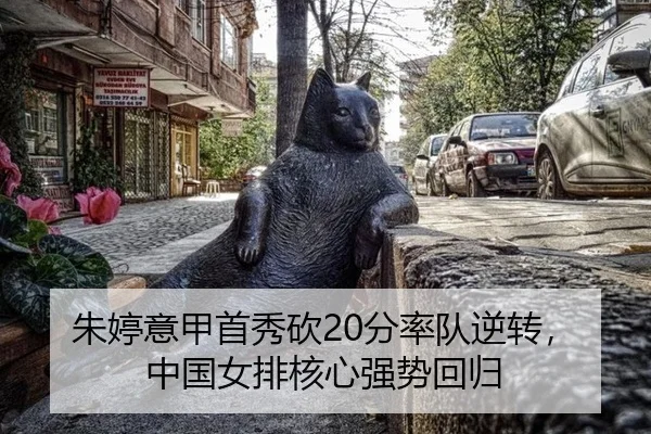 zhu-ting-yi-jia-shou-xiu-kan-fen-shuai-dui-ni-zhuan-zhong-guo-nv-pai-he-xin-qiang-shi-hui-gui-2-949.jpg