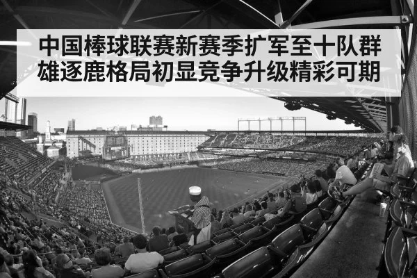 中国棒球联赛新赛季扩军至十队群雄逐鹿格局初显竞争升级精彩可期