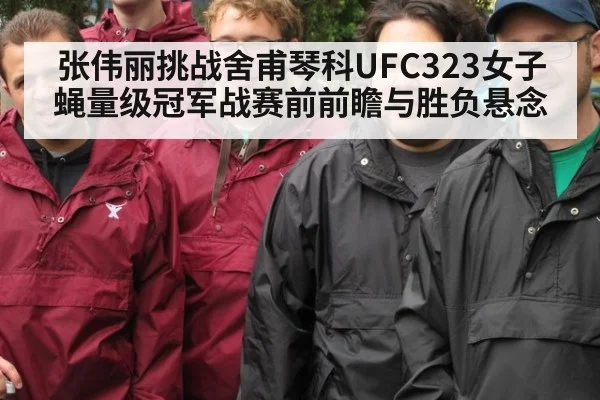 张伟丽挑战舍甫琴科UFC323女子蝇量级冠军战赛前前瞻与胜负悬念