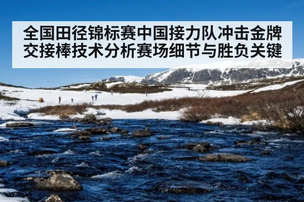 全国田径锦标赛中国接力队冲击金牌交接棒技术分析赛场细节与胜负关键